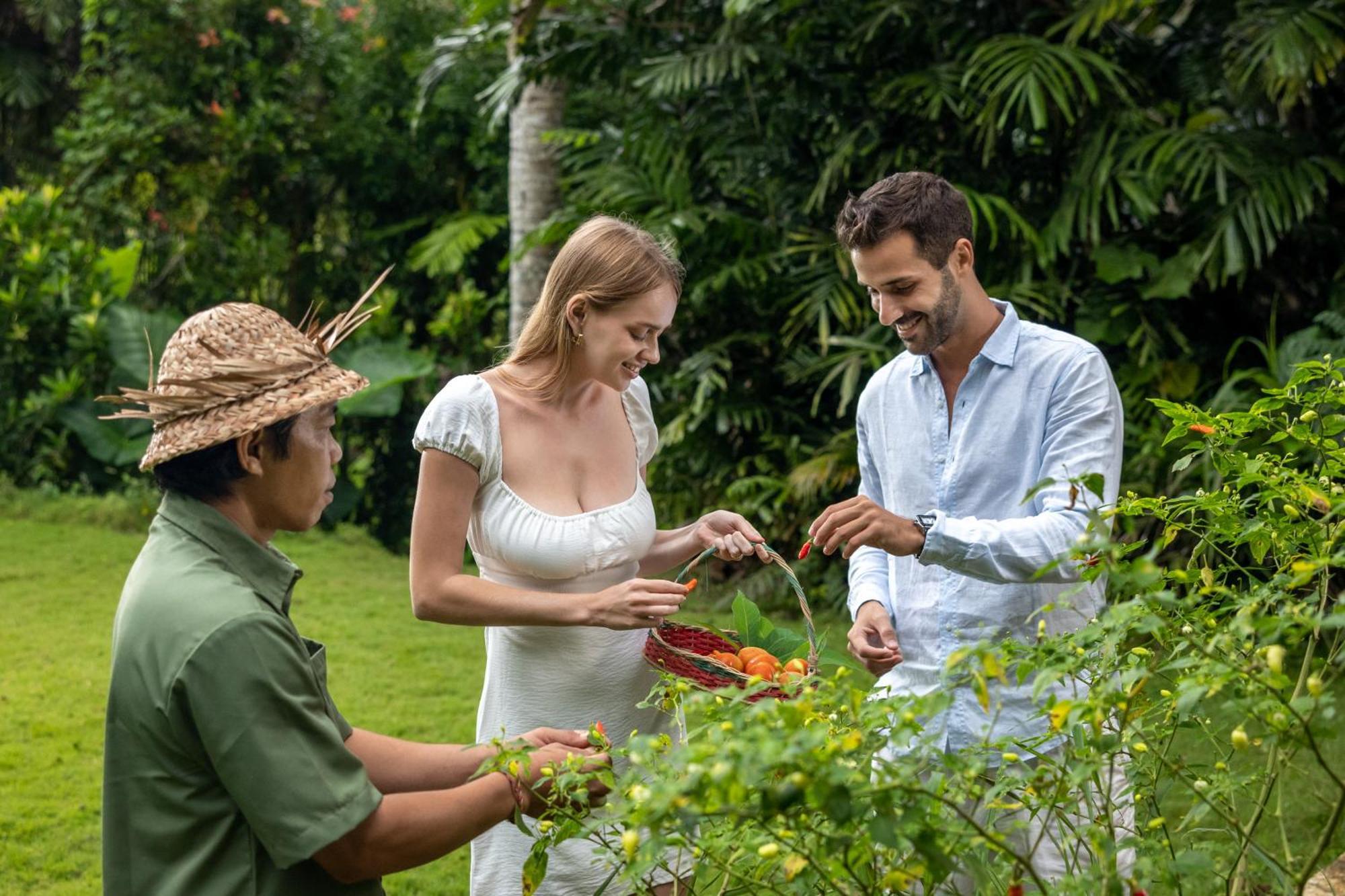 The Mesare Eco Resort Batumadeg Zewnętrze zdjęcie